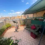 Ave Roma Suite